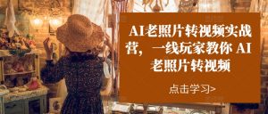 AI老照片转视频实战营,一线玩家教你AI老照片转视频-赚金金-技能学习分享