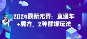 2024最新无界:直通车+魔方,2种群爆玩法-赚金金-技能学习分享