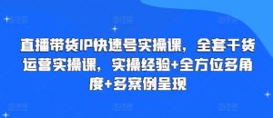 直播带货IP快速号实操课,全套干货运营实操课,实操经验+全方位多角度+多案例呈现-赚金金-技能学习分享