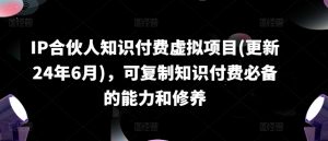 IP合伙人知识付费虚拟项目(更新24年6月),可复制知识付费必备的能力和修养-赚金金-技能学习分享