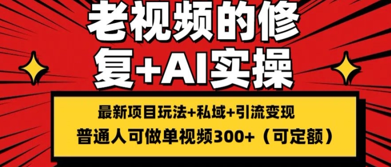 修复老视频的玩法,搬砖+引流的变现(可持久),单条收益300+【揭秘】-赚金金-技能学习分享