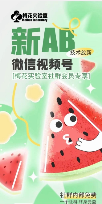 梅花实验室2024年AB技术视频号AB合成破解版-赚金金-技能学习分享