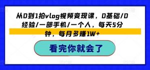 从0到1拍vlog视频变现课,0基础/0经验/一部手机/一个人,每天5分钟,每月多赚1W+-赚金金-技能学习分享