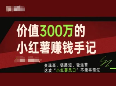 价值300万的小红书赚钱手记，变现高、链路短、轻运营，这波“小红薯风口”不能再错过-赚金金-技能学习分享