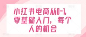 小红书电商从0-1,零基础入门,每个人的机会-赚金金-技能学习分享