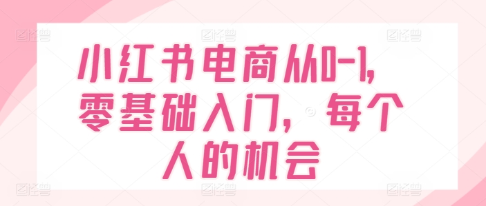 小红书电商从0-1,零基础入门,每个人的机会-赚金金-技能学习分享