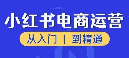小红书电商运营课，从入门到精通，带你抓住又一个赚钱风口-赚金金-技能学习分享