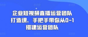 企业短视频直播运营团队打造课,手把手带你从0-1搭建运营团队-赚金金-技能学习分享