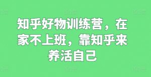 知乎好物训练营,在家不上班,靠知乎来养活自己-赚金金-技能学习分享