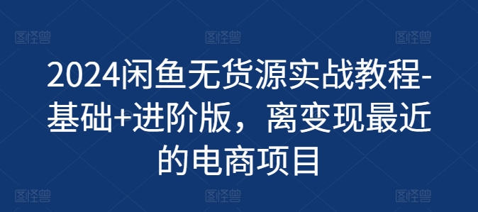 2024闲鱼无货源实战教程-基础+进阶版，离变现最近的电商项目-赚金金-技能学习分享