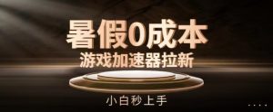 暑假0成本游戏加速器拉新,小白秒上手,无需投资【揭秘】-赚金金-技能学习分享