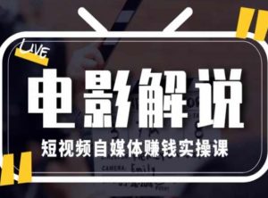 电影解说短视频自媒体赚钱实操课,教你做电影解说短视频,月赚1万-赚金金-技能学习分享