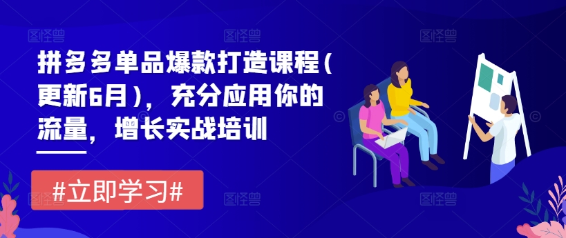 拼多多单品爆款打造课程(更新6月)，充分应用你的流量，增长实战培训-赚金金-技能学习分享