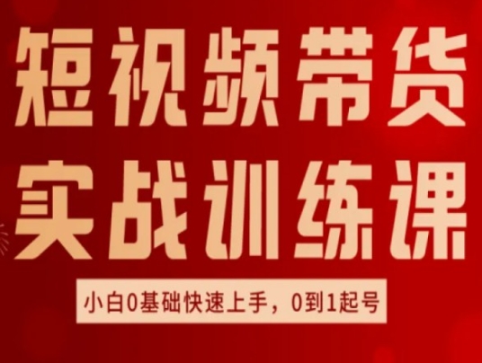 短视频带货实战训练课，好物分享实操，小白0基础快速上手，0到1起号-赚金金-技能学习分享