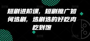 短剧进阶课,短剧推广如何选剧,选剧选的好吃肉吃到饱-赚金金-技能学习分享
