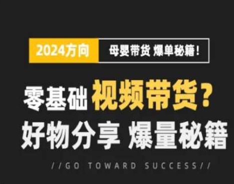 短视频母婴赛道实操流量训练营，零基础视频带货，好物分享，爆量秘籍-赚金金-技能学习分享