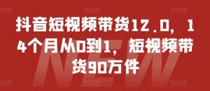 抖音短视频带货12.0,14个月从0到1,短视频带货90万件-赚金金-技能学习分享