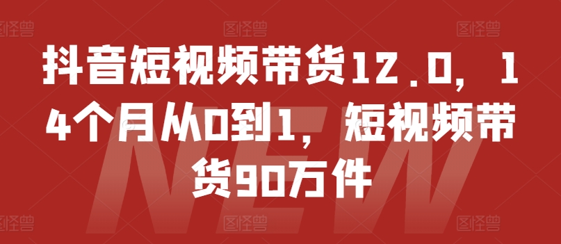 抖音短视频带货12.0，14个月从0到1，短视频带货90万件-赚金金-技能学习分享