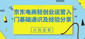 京东电商轻创业运营入门基础通识及经验分享-赚金金-技能学习分享