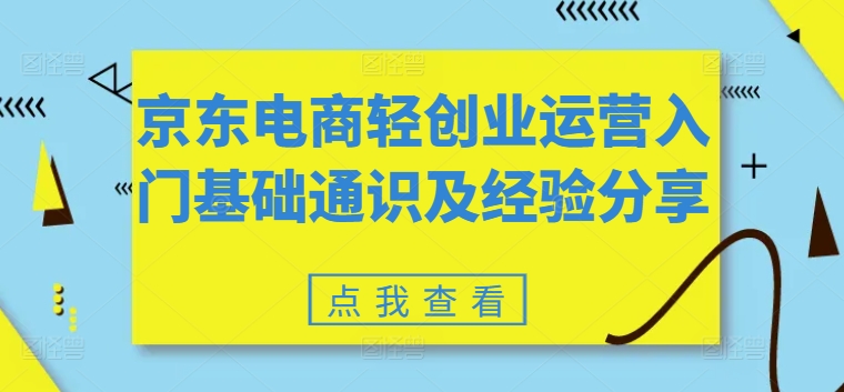 京东电商轻创业运营入门基础通识及经验分享-赚金金-技能学习分享