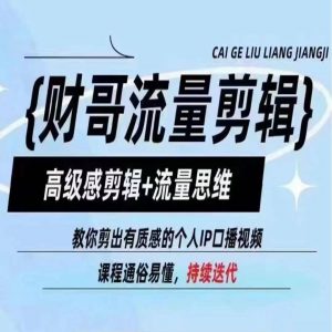 财哥流量剪辑,高级感剪辑+流量思维,教你剪出有质感的个人IP口播视频-赚金金-技能学习分享