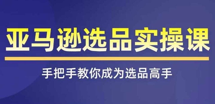 亚马逊选品实操课程，快速掌握亚马逊选品的技巧，覆盖亚马逊选品所有渠道-赚金金-技能学习分享