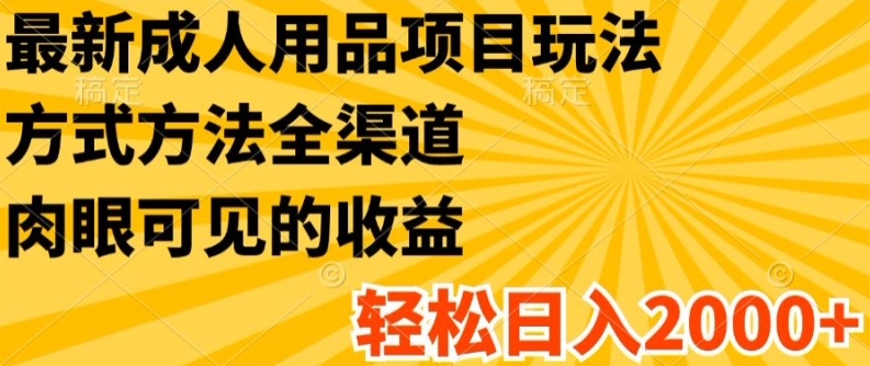 最新成人用品项目玩法，方式方法全渠道，轻松日入2K+【揭秘】-赚金金-技能学习分享