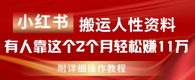 小红书搬运人性资料，有人靠这个2个月轻松赚11w，附教程【揭秘】-赚金金-技能学习分享