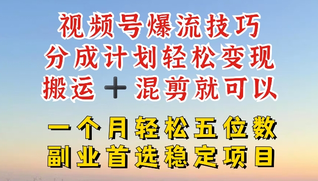 视频号爆流技巧，分成计划轻松变现，搬运 +混剪就可以，一个月轻松五位数稳定项目【揭秘】-赚金金-技能学习分享