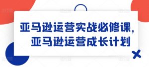 亚马逊运营实战必修课，亚马逊运营成长计划-赚金金-技能学习分享