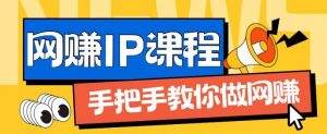 ip合伙人打造1.0，从0到1教你做网创，实现月入过万【揭秘】-赚金金-技能学习分享