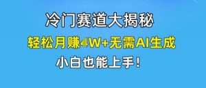 冷门赛道大揭秘,轻松月赚1W+无需AI生成,小白也能上手【揭秘】-赚金金-技能学习分享