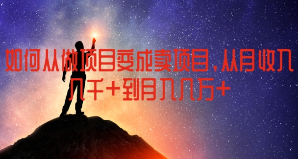 如何从做项目变成卖项目，从月收入几千到月入几万【揭秘】-赚金金-技能学习分享