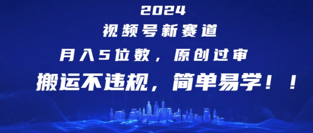2024视频号新赛道，月入5位数+，原创过审，搬运不违规，简单易学【揭秘】-赚金金-技能学习分享