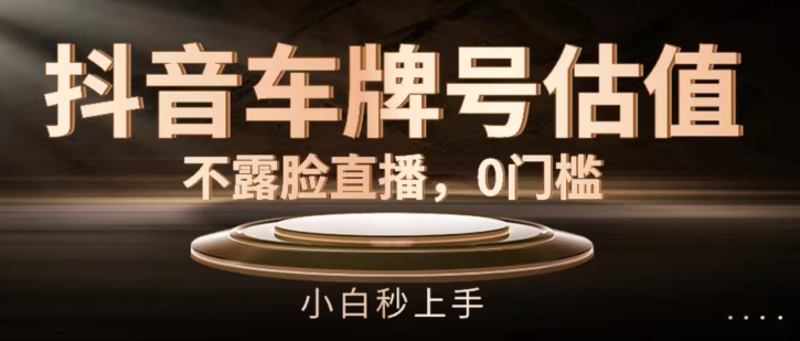 抖音车牌号估值，不露脸直播，0门槛，小白秒上手【揭秘】-赚金金-技能学习分享