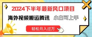 2024下半年最新风口项自,海外视频搬运腾讯,小白可上手,轻松月入过万【揭秘】-赚金金-技能学习分享