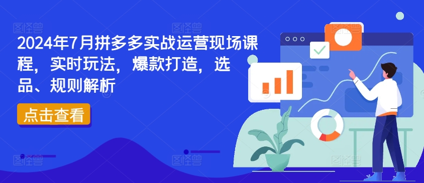 2024年7月拼多多实战运营现场课程，实时玩法，爆款打造，选品、规则解析-赚金金-技能学习分享