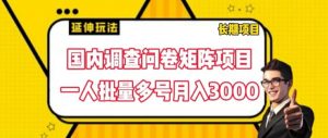 国内调查问卷矩阵项目,一人批量多号月入3000【揭秘】-赚金金-技能学习分享