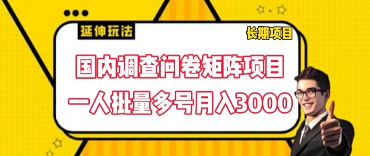 国内调查问卷矩阵项目，一人批量多号月入3000【揭秘】-赚金金-技能学习分享