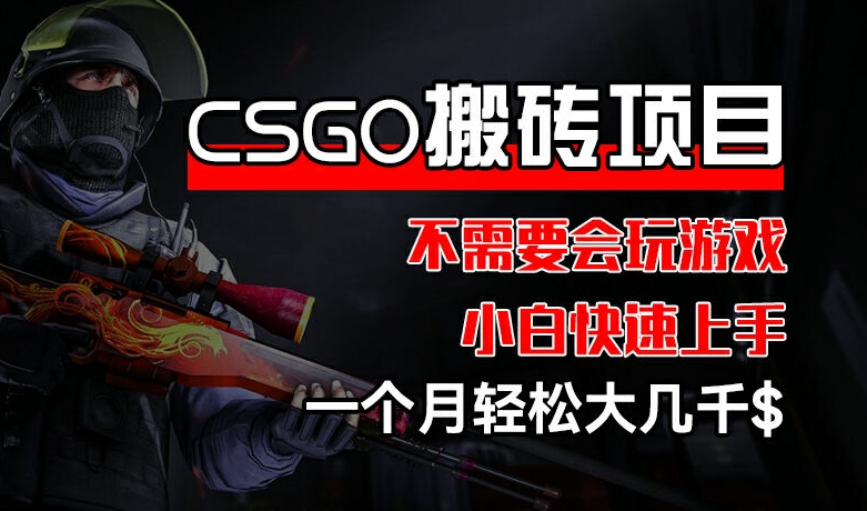 CSGO 装备搬砖项目，操作简单，不需要会玩游戏，小白也能快速上手，一个月轻松大几千【揭秘】-赚金金-技能学习分享