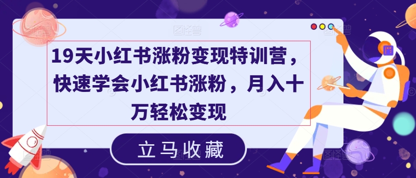 19天小红书涨粉变现特训营，快速学会小红书涨粉，月入十万轻松变现-赚金金-技能学习分享