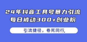 24年抖音工具号暴力引流,每日被动300+创业粉,创业粉捷径,卷死同行【揭秘】-赚金金-技能学习分享
