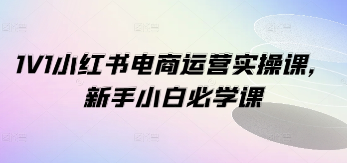 1V1小红书电商运营实操课，新手小白必学课-赚金金-技能学习分享