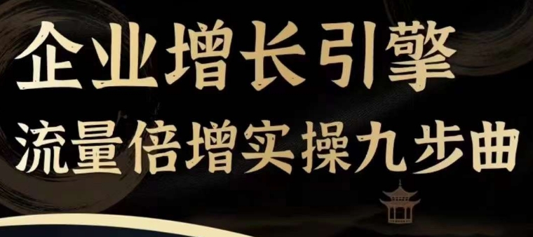企业增长引擎流量倍增实操九步曲，一套课程帮你找到快速、简单、有效、可复制的获客+变现方式，-赚金金-技能学习分享