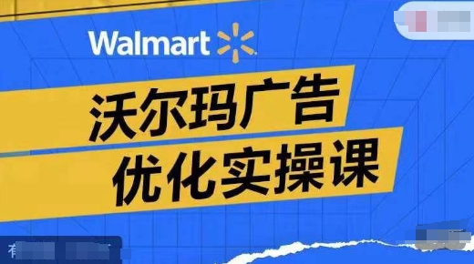 沃尔玛广告优化实操课，广告报告实操讲解，广告如何提高转化和ROAS等-赚金金-技能学习分享