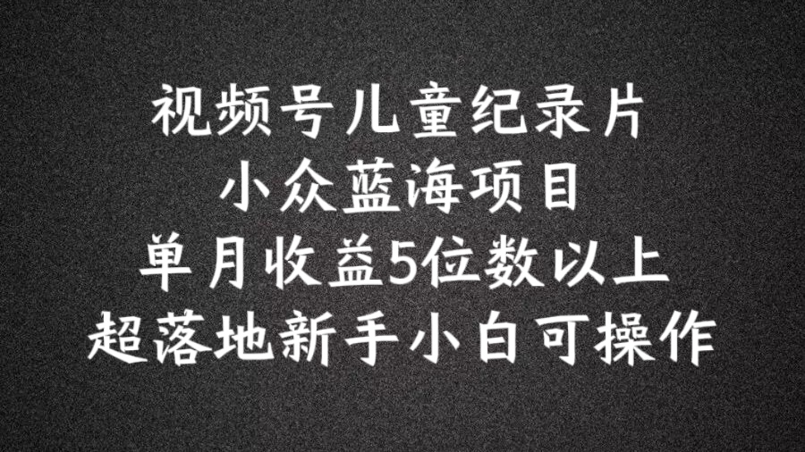 2024蓝海项目视频号儿童纪录片科普，单月收益5位数以上，新手小白可操作【揭秘】-赚金金-技能学习分享