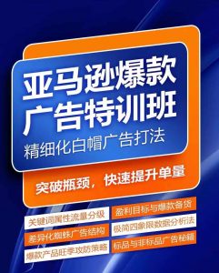 亚马逊爆款广告特训班，快速掌握亚马逊关键词库搭建方法，有效优化广告数据并提升旺季销量-赚金金-技能学习分享