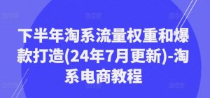 下半年淘系流量权重和爆款打造(24年7月更新)-淘系电商教程-赚金金-技能学习分享