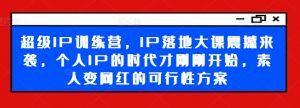 超级IP训练营,IP落地大课震撼来袭,个人IP的时代才刚刚开始,素人变网红的可行性方案-赚金金-技能学习分享