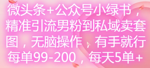 微头条+公众号小绿书，精准引流男粉到私域卖套图，无脑操作，有手就行，每单99-200，每天5单-赚金金-技能学习分享